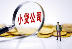 西安32个人借贷-西安32小额贷款官网-西安32身份证贷款